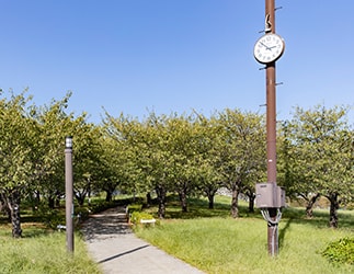 西郷川河口公園の時計台