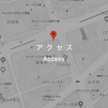GoogleMap